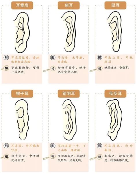 耳珠朝口 面相|面相大全：大器晚成，中年发迹的面相